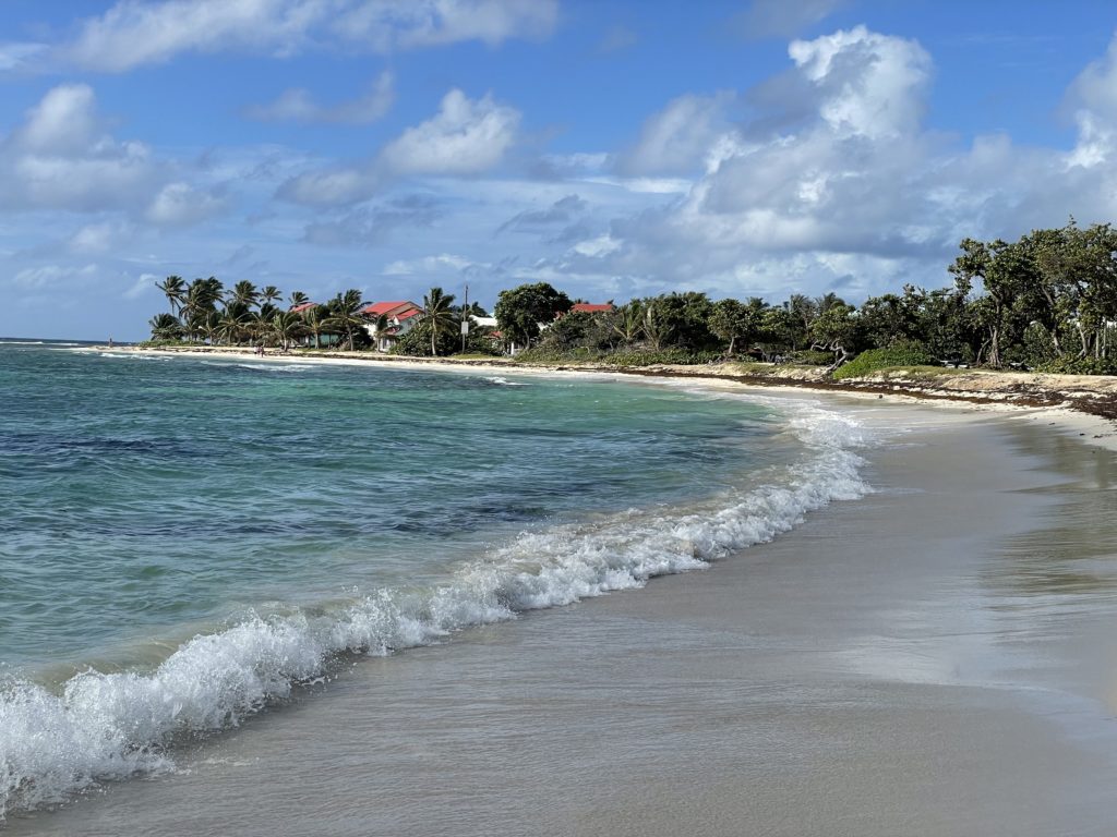 la plage des raisins clairs