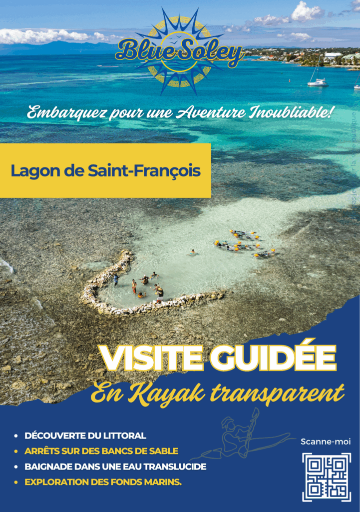 Bluesoley plaquette actité
